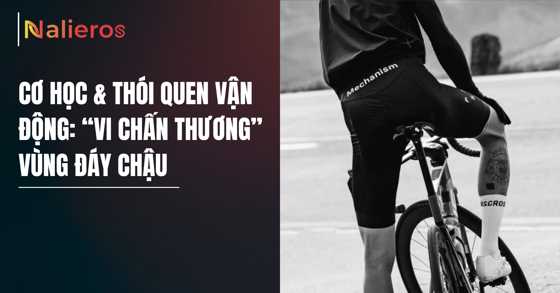 Cơ học & thói quen vận động: “vi chấn thương” vùng đáy chậu