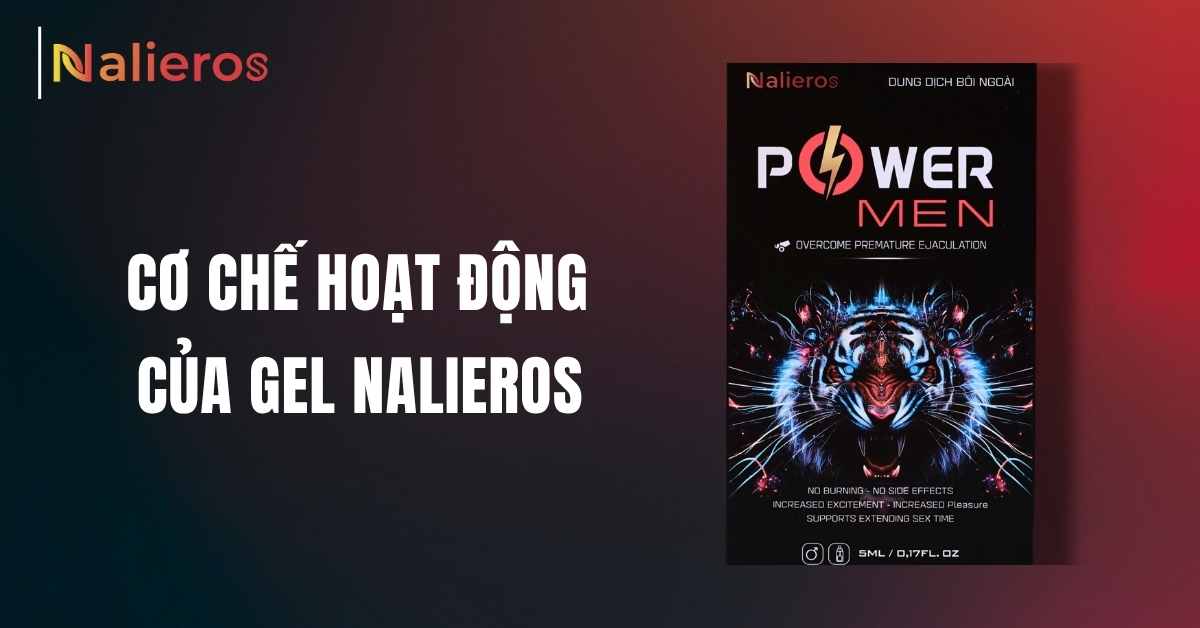 Gel Nalieros hoạt động dựa trên cơ chế hỗ trợ giảm độ nhạy cảm tạm thời và giúp kiểm soát cảm giác khi quan hệ. Nhờ đó, nam giới có thể làm chủ tốt hơn nhịp độ, hạn chế tình trạng kích thích quá mức và cải thiện thời gian gần gũi một cách rõ rệt.
